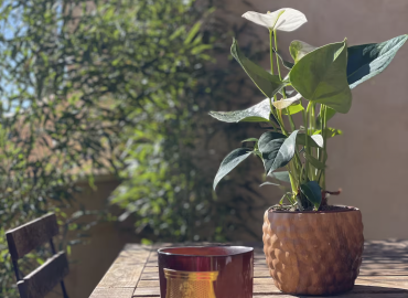 Accès Toit Terrasse du Mini, location saisonnière Aix en Provence