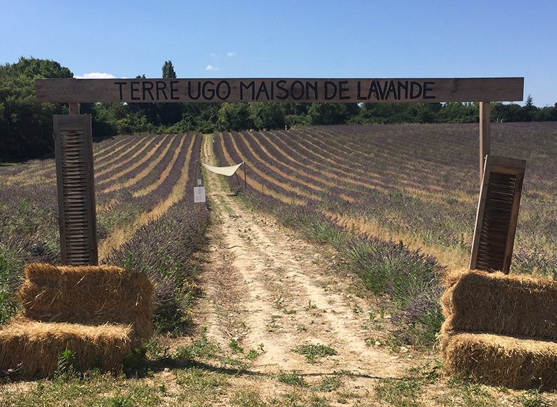 Autours d’Aix-en-Provence